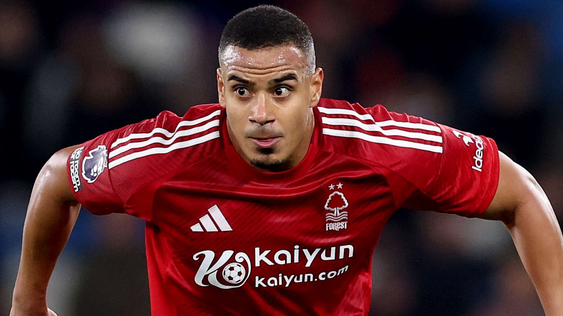 俊在评论日 俊在评论日